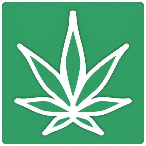 stm canna